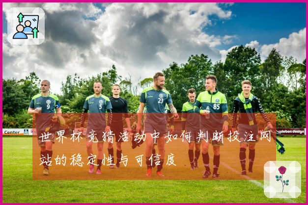 世界杯竞猜活动中如何判断投注网站的稳定性与可信度