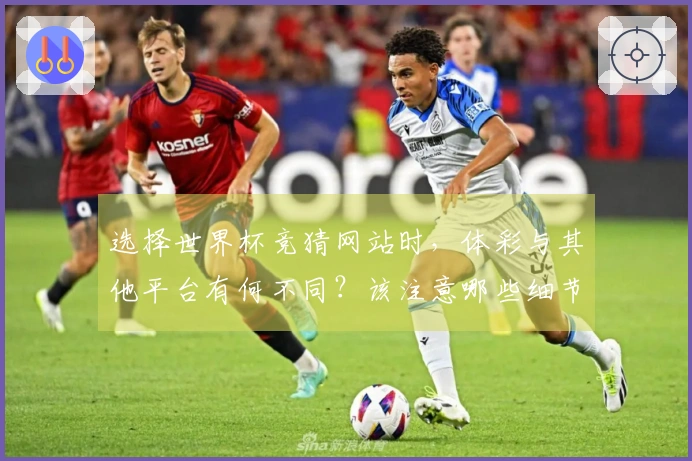 选择世界杯竞猜网站时，体彩与其他平台有何不同？该注意哪些细节？