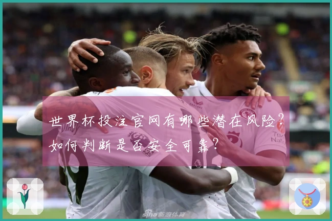世界杯投注官网有哪些潜在风险？如何判断是否安全可靠？