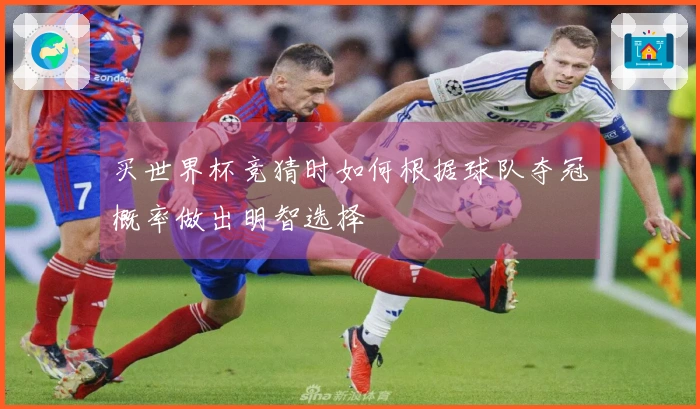 买世界杯竞猜时如何根据球队夺冠概率做出明智选择