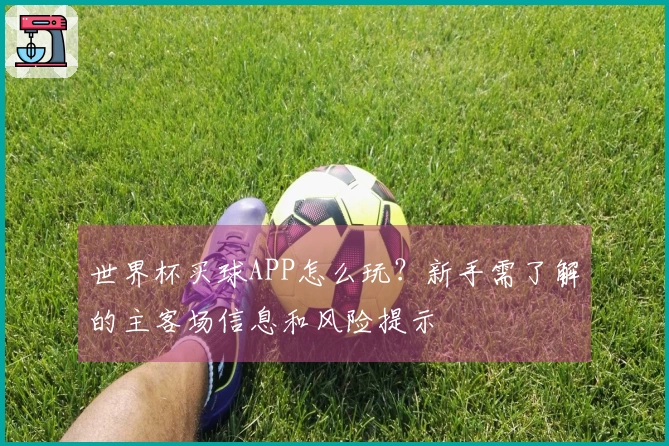 世界杯买球APP怎么玩？新手需了解的主客场信息和风险提示