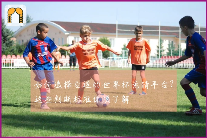 如何选择合适的世界杯竞猜平台？这些判断标准你须了解