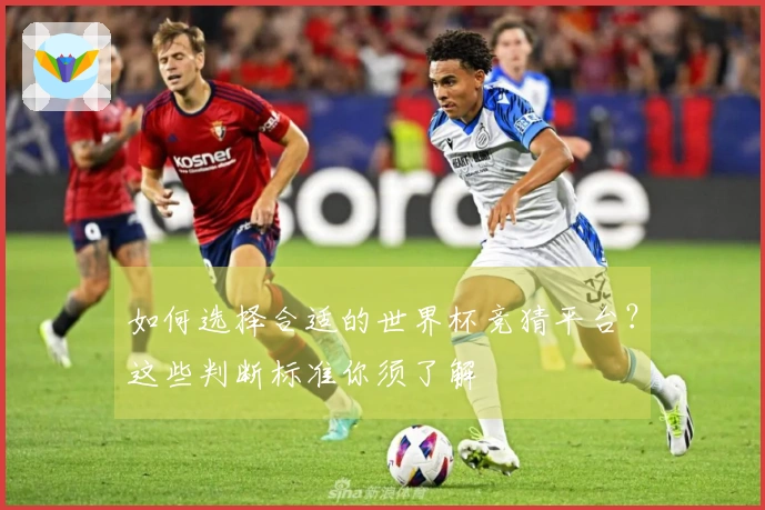 如何选择合适的世界杯竞猜平台？这些判断标准你须了解