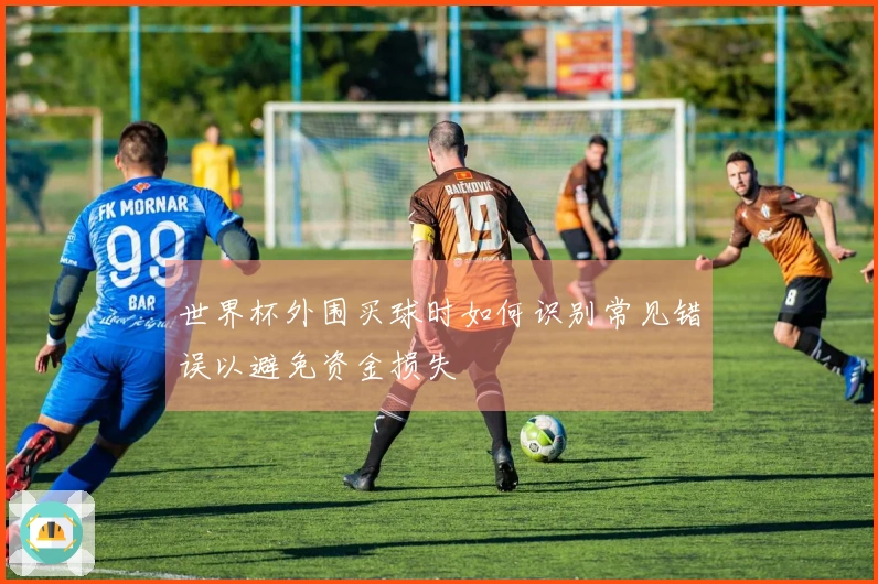 世界杯外围买球时如何识别常见错误以避免资金损失