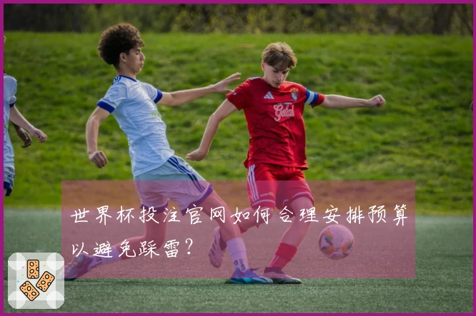 世界杯投注官网如何合理安排预算以避免踩雷？