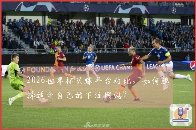 2026世界杯买球平台对比，如何选择适合自己的下注网站？
