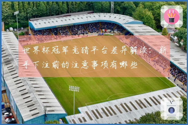 世界杯冠军竞猜平台差异解读：新手下注前的注意事项有哪些