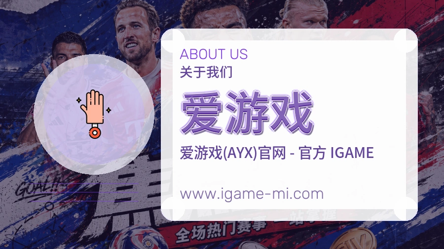 关于 爱游戏